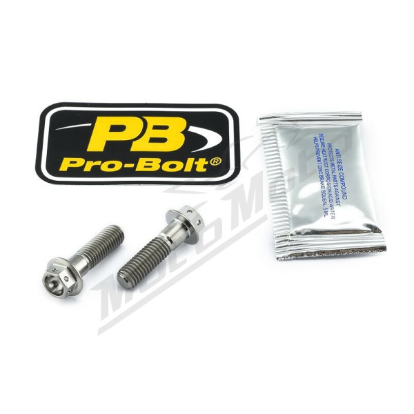 PRO BOLT Titanium Brake Caliper Mount Kit Aprilia / BMW / Suzuki 250-1400cc 96-24