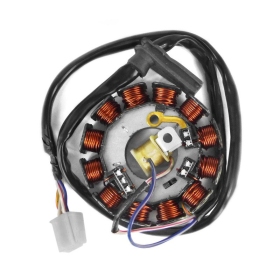 Stator TNT AM6 (from 2007y.) PowerUP 12 pole