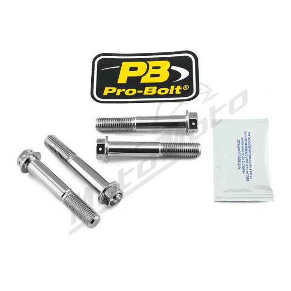 PRO BOLT Stainless Steel Caliper Mount Bolt kit Aprilia / Ducati / Honda / Kawasaki / Suzuki / Triumph 600-1400cc 02-25