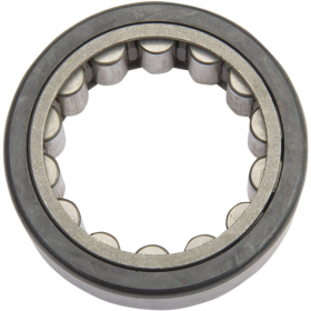 EMP Left Side Sprocket Shaft Replacement Bearing Harley Davidson FXSTD / FXSB / FXDWG / FLSTFB / FLHX / FLD 1450-1800cc 04-17
