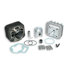 Cylinder kit MALOSSI cast iron Ø47 Pin Ø12 Aprilia / Derbi / Gilera / Italjet / Piaggio / Vespa 50 91-20 AIR 2T
