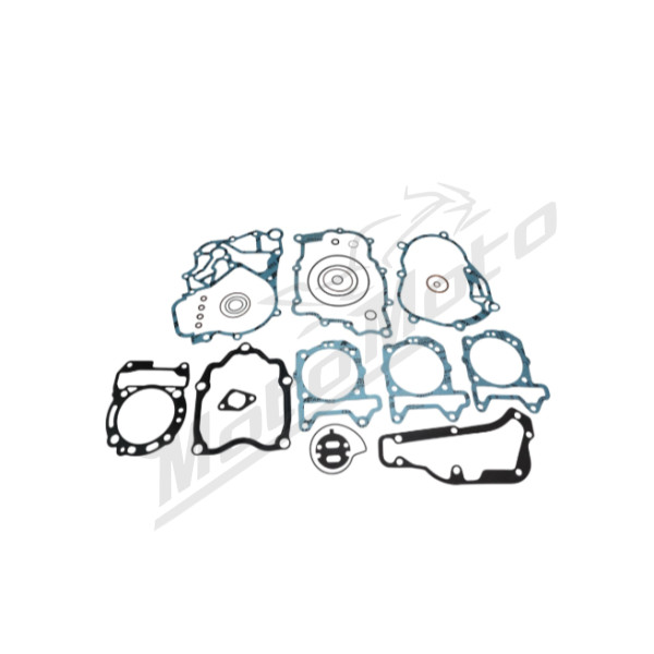 Artein Gaskets engine gaskets set Piaggio / Vespa / Aprilia / Derbi 300cc 08-22