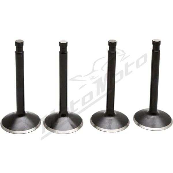 KIBBLEWHITE Black Diamond™ Engine Valve Kit Harley Davidson E / EL / F / FL / FLB / FLE / FLEF / FLF / FLH / FLHF / FLHFB 1000-1200 48-65