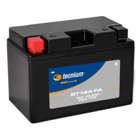 TECNIUM Battery Maintenance Free Factory Activated - BT12A1 2V 10.5Ah