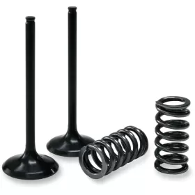 PROX Exhaust Valve and Spring Kit KTM EXC-F / SX-F 250 06-07