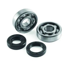 JASIL Crank Bearing & Seal Kit CPI Aragon / Hussar / Oliver / Popcorn 25-50 00-11