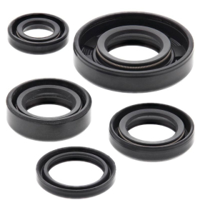 Winderosa (vertex) set (set) of engine seals KTM SX 50 01-08