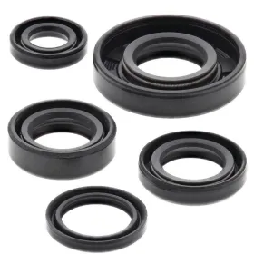 Winderosa (vertex) set (set) of engine seals KTM SX 50 01-08