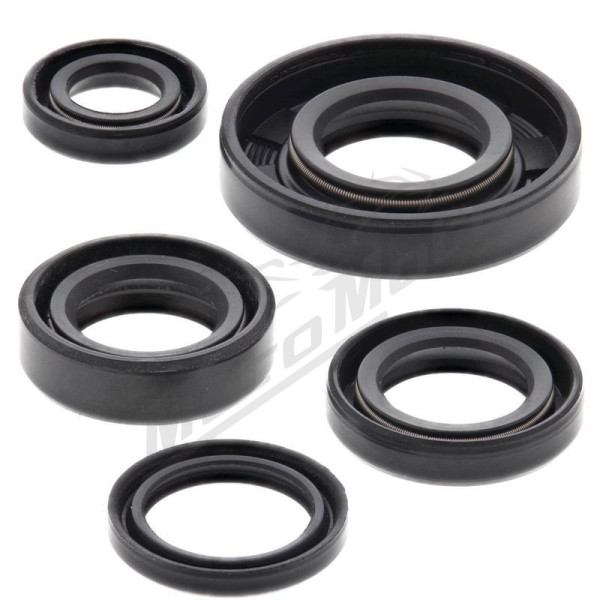 Winderosa (vertex) set (set) of engine seals KTM SX 50 01-08