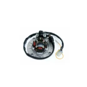 Electrex generatorius Yamaha YZF 250-450cc 98-05