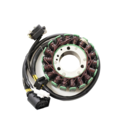 ELECTROSPORT Stator Kawasaki ZX-12R 1200 02-03