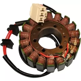RICK'S MOTORSPORT ELECTRIC Stator for Honda CBR 1100XX 99-03