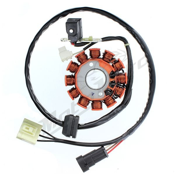 ELECTROSPORT Stator Malaguti Centro / Madison 125-160 08-12