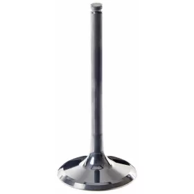 VERTEX Titanium Intake Valve Honda CRF 250R / RX 18->
