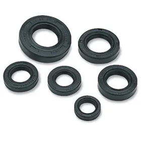 Winderosa (vertex) set engine seals Kawasaki KX F 19-22