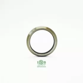 ISB guolis ACB518K (TH-073) 40x51,8x8 (36º/45º)
