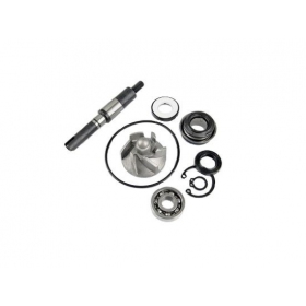 Water pump repair kit HONDA SH / PANTHEON / DYLAN/ YLAN 125-150cc 4T 01-09