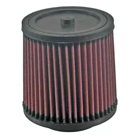 K&N oro filtras Honda TRX 500-680cc 06-13
