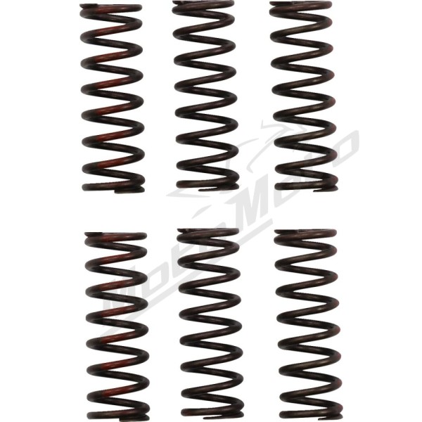 PRO CIRCUIT Clutch Spring Set Honda CRF 450 21-24