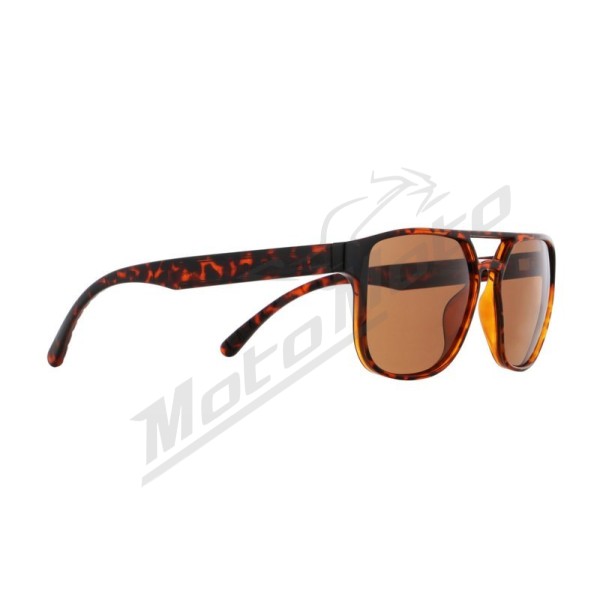 Spect Red Bull Elroy Sunglasses Shiny Havana w Brown lens