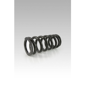 HYPERPRO Shock Spring Indian Springfield 111-116 16-25
