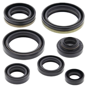 Winderosa (vertex) set of engine seals Suzuki RM 125 01-03