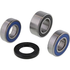 ALL BALLS Rear Wheel Bearing Kit INDIAN FTR 1200cc 2019-2024