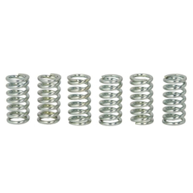 TRW Sankabos spyruoklių kompl. Honda CB / CM / GL / MTX / NX / TRX / VF / VFR / XL / XR 125-1100 74-08