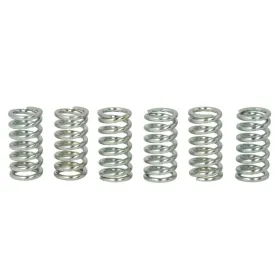 TRW Sankabos spyruoklių kompl. Honda CB / CM / GL / MTX / NX / TRX / VF / VFR / XL / XR 125-1100 74-08