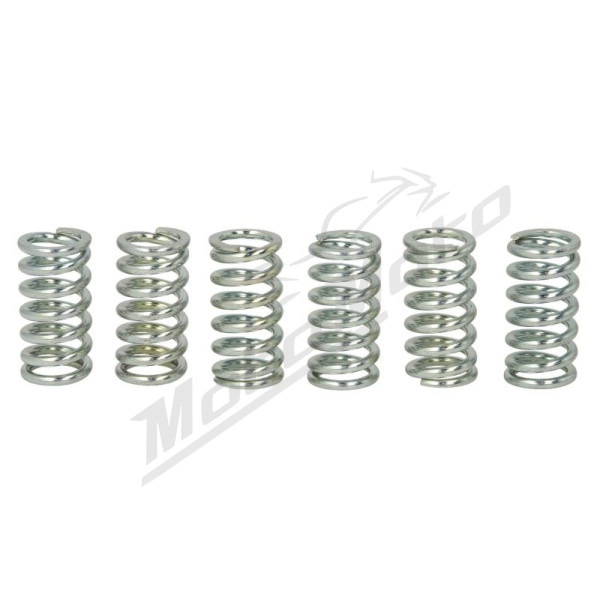 TRW Clutch springs set Honda CB / CM / GL / MTX / NX / TRX / VF / VFR / XL / XR 125-1100 74-08