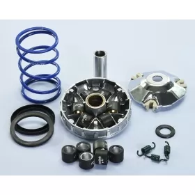 POLINI Hi-Speed Variator Aprilia / Piaggio / Vespa 50cc 16-25