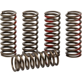 PRO CIRCUIT Clutch Spring Set Honda CRF 250R 2018