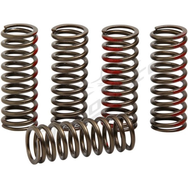 PRO CIRCUIT Clutch Spring Set Honda CRF 250R 2018