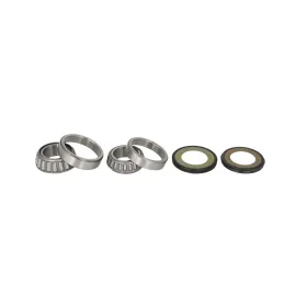 ALL BALLS Frame head bearings set Yamaha XV 1700 02-10