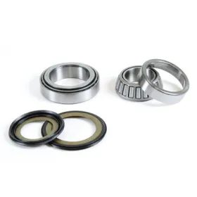 PROX Head Frame Bearings With Seals Honda FSC / GL / NSS / SH / VTR / VT / VTX 300-1800cc 02-20