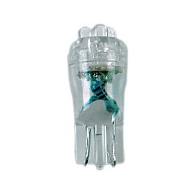 DRAG SPECIALTIES Mini Wedge LED Bulb 12v 0,5w 4pcs.