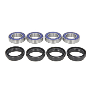 ALL BALLS Rear wheel bearing kit Yamaha YFM 600-660 2002