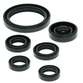 Winderosa (vertex) set (set) of engine seals Yamaha YFZ 450 04–13