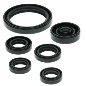 Winderosa (vertex) set (set) of engine seals Yamaha YFZ 450 04–13
