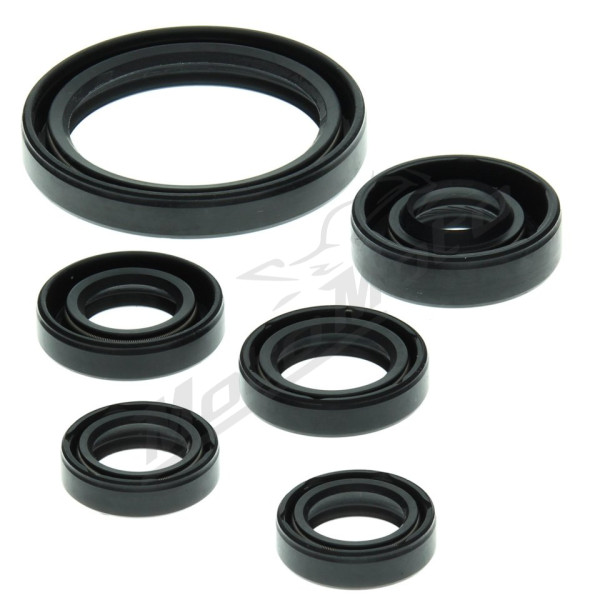 Winderosa (vertex) set (set) of engine seals Yamaha YFZ 450 04–13