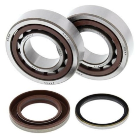 ALL BALLS Crankshaft Bearing & Oil Seal Kit KTM SX-F 250cc 06-12