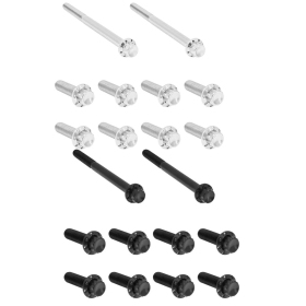 ARLEN NESS Transmission Side Cover & Trap Door Titanium 12-Point Bolt Kit 12pcs. M8