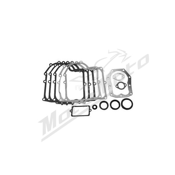 Rotary Gasket set Vertical B&S 10-13Ag 