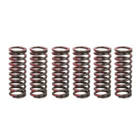 TRW Clutch springs set Suzuki RM-Z 450 05-07