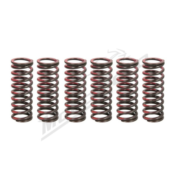 TRW Clutch springs set Suzuki RM-Z 450 05-07