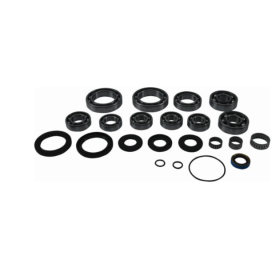 ALL BALLS Rear differential repair kit Polaris Sportsman 335-500 2000
