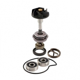 Water pump repair kit APRILIA/ DERBI/ GILERA/ MALAGUTI/ PIAGGIO/ VESPA 250-300cc 06-19