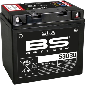 Battery BS BATTERY 53030 (FA) SLA 12V / 30Ah