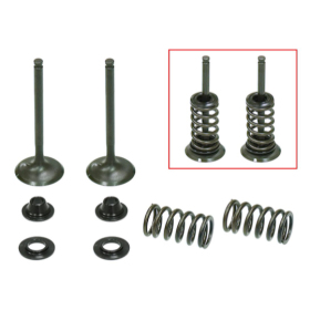 Psychic exhaust valves set Yamaha / GasGas 450cc 03-20