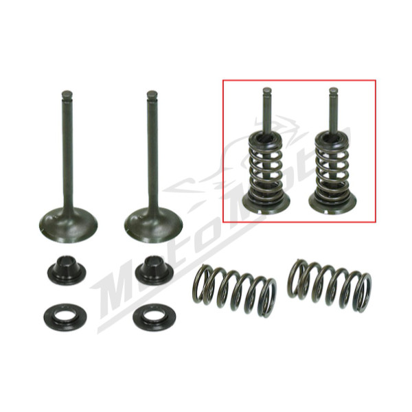Psychic exhaust valves set Yamaha / GasGas 450cc 03-20